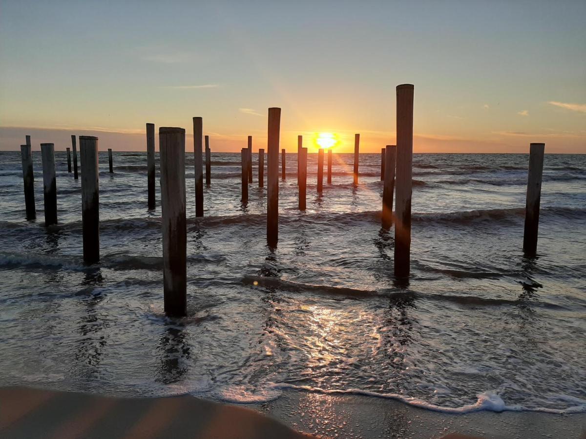 Boshuisje Petten Aan Zee エクステリア 写真